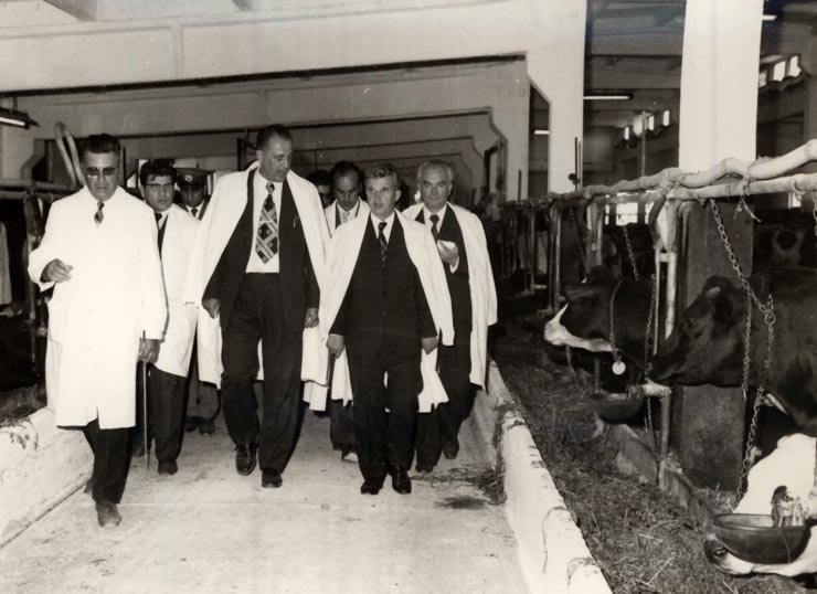 România în perioada comunistă și exploatarea fără milă a pădurilor